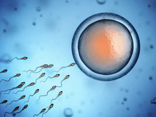 Preconception Care & Methylation