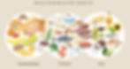 Picture of Carbohydrates, proteins, fats and graphical examples of food sources.