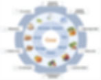 Foods shown in a wheel and their impacts on the body as 'anti-gouty' actions