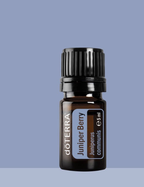 Juniper Berry (Einerbær) 5 ml