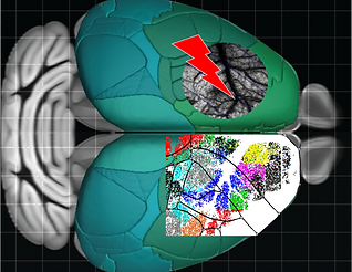 photo-tromosis_small2.png