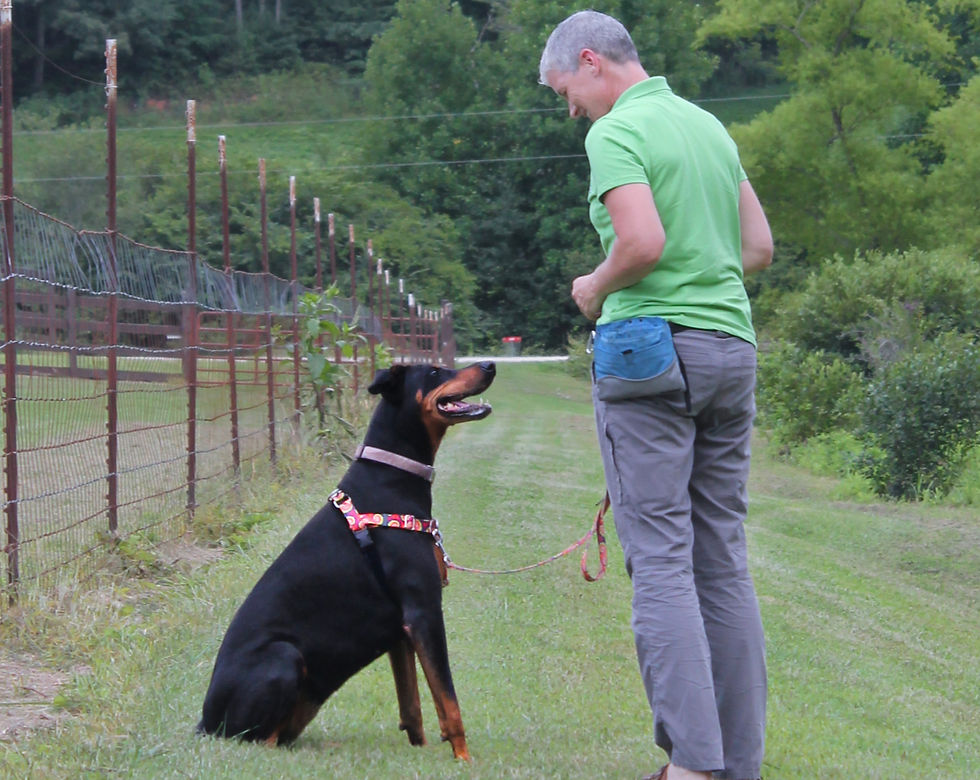 Joyce working on focus and manners outside