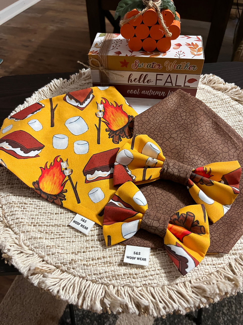 Fall - S'Mores W Brown Crinkle - Bow Tie