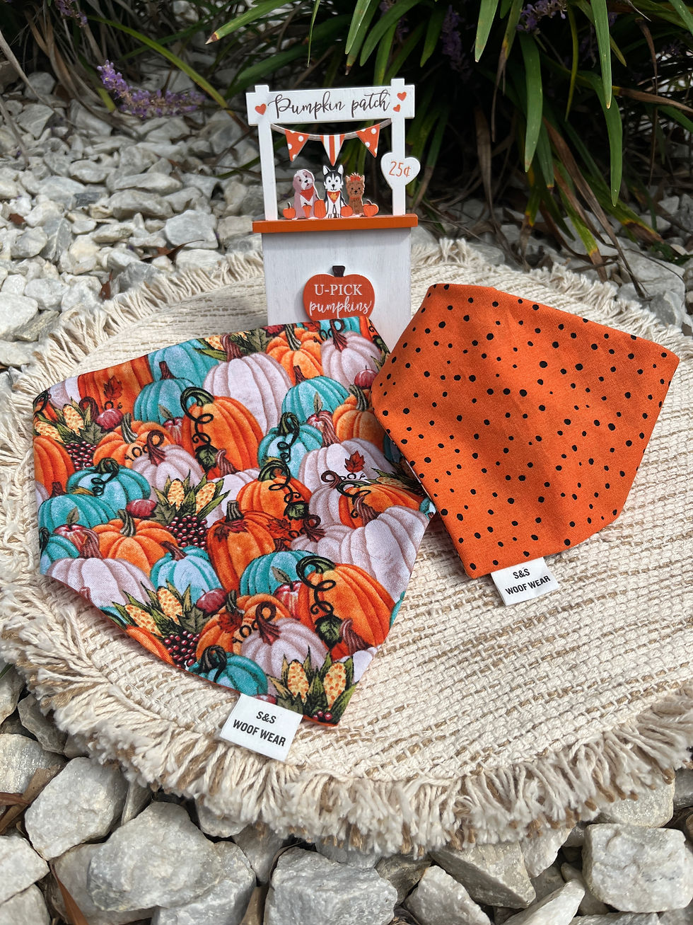 Colored Pumpkins W Orange and Black Pokka Dots - Bandana - Reve