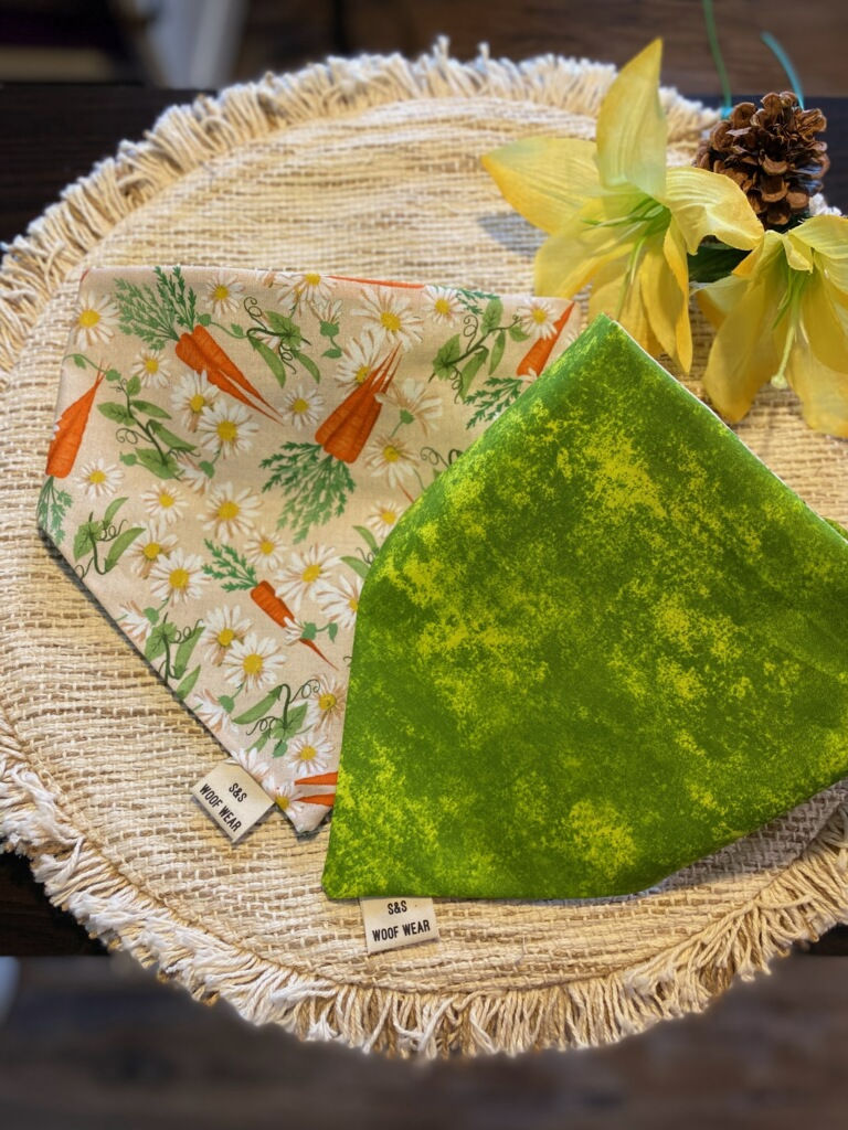 Carrots & Daisy on Green Bandana - Reversible