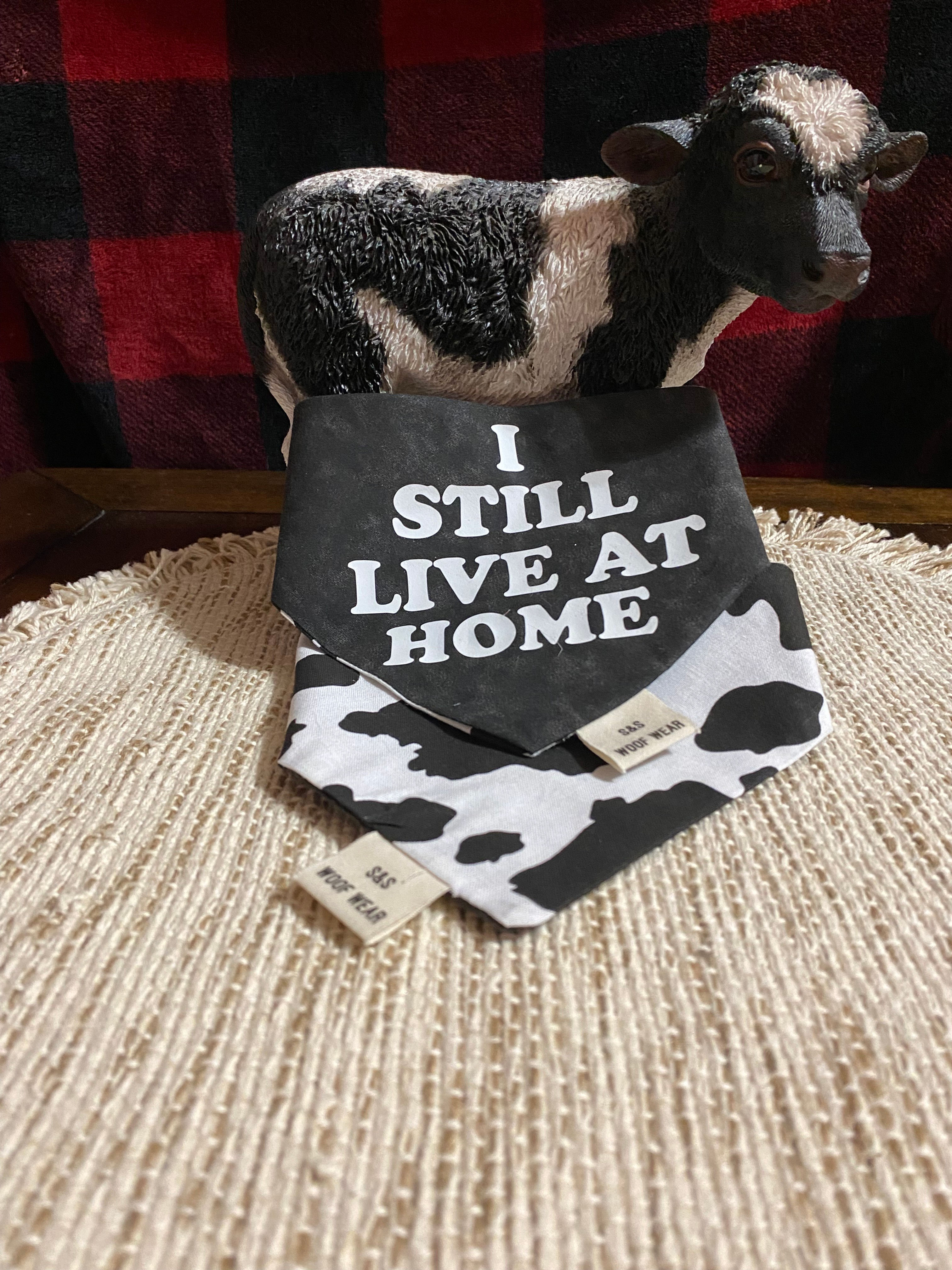 B & W Cow - I still at Home Bandana - Reversable