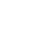 Google Favicon (2).png