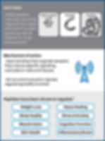 peptide background information