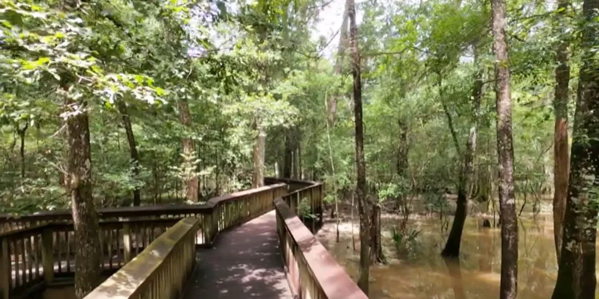 2 Tickfaw State Park RV Campground