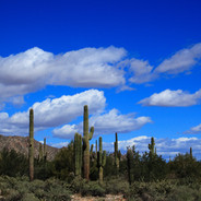 #10 White Tank Mountain Regional Park - Waddell, AZ