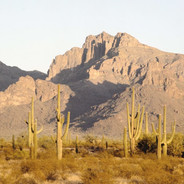 #9 Pinal County Fairgrounds RV Park - Casa Grande, AZ