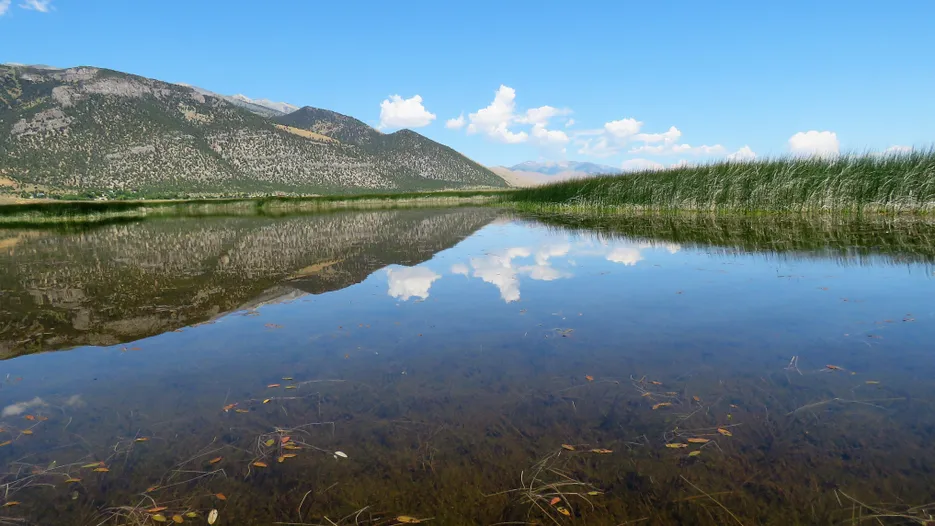 #9 Ruby Lake National Wildlife Refuge