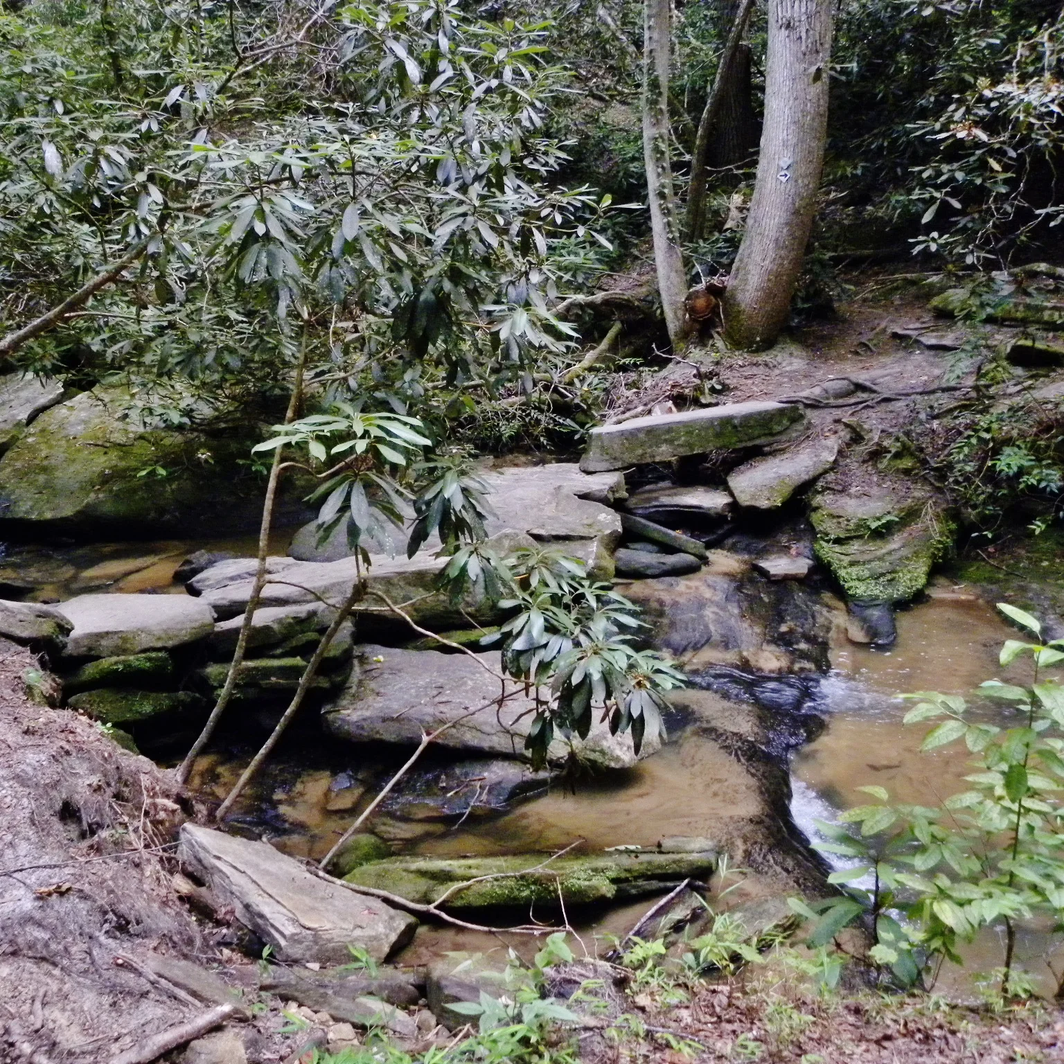 #2 Keowee-Toxaway State Park Campground