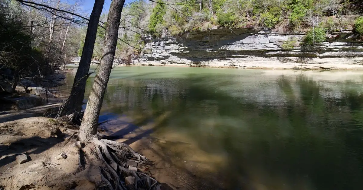 #3 Bankhead National Forest – Corinth Recreation Area