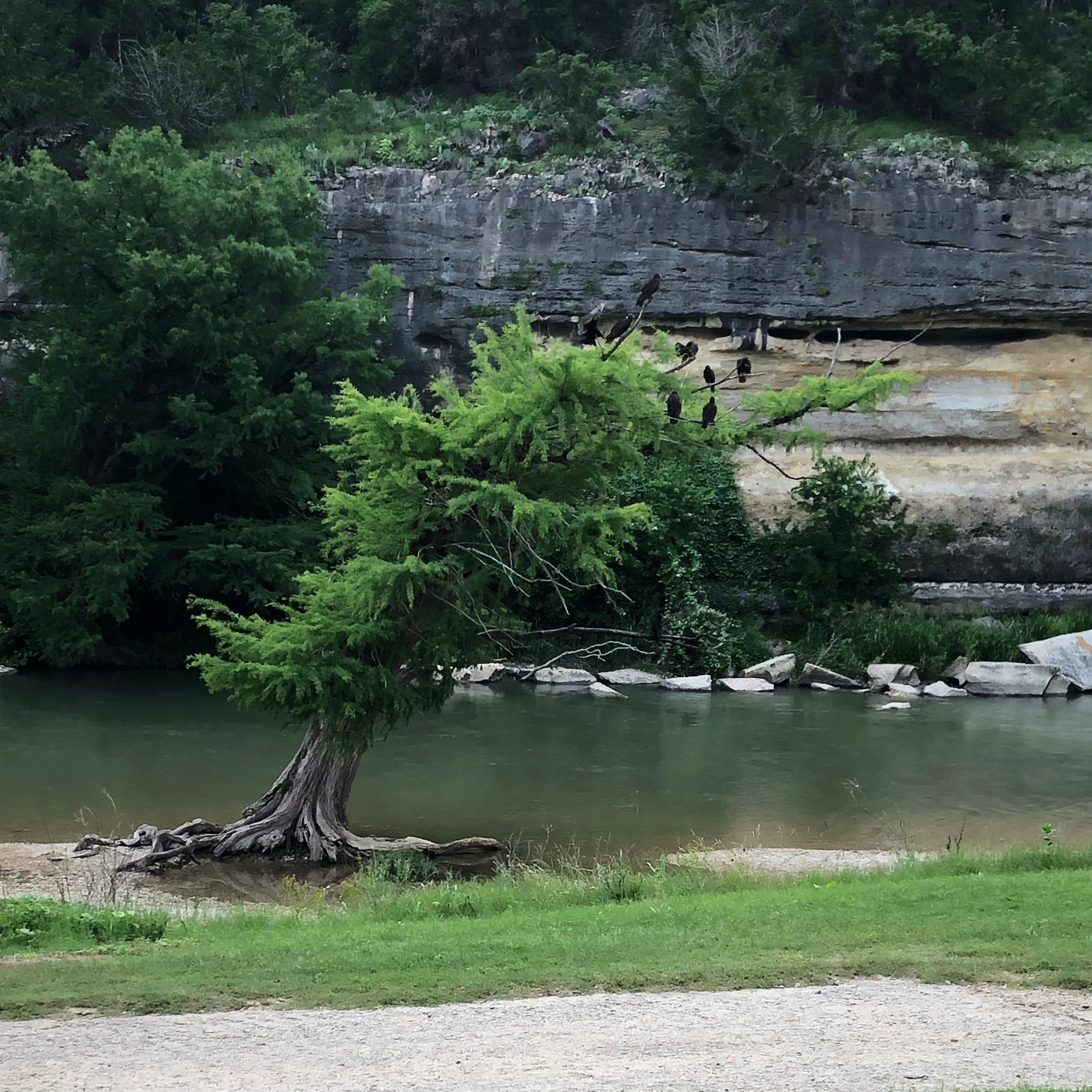 #5 Guadalupe River State Park in Texas