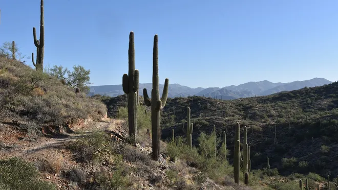 #5 Cave Creek Regional Park - Cave Creek, AZ