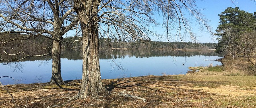 #4 Percy Quin State Park Camping in Mississippi
