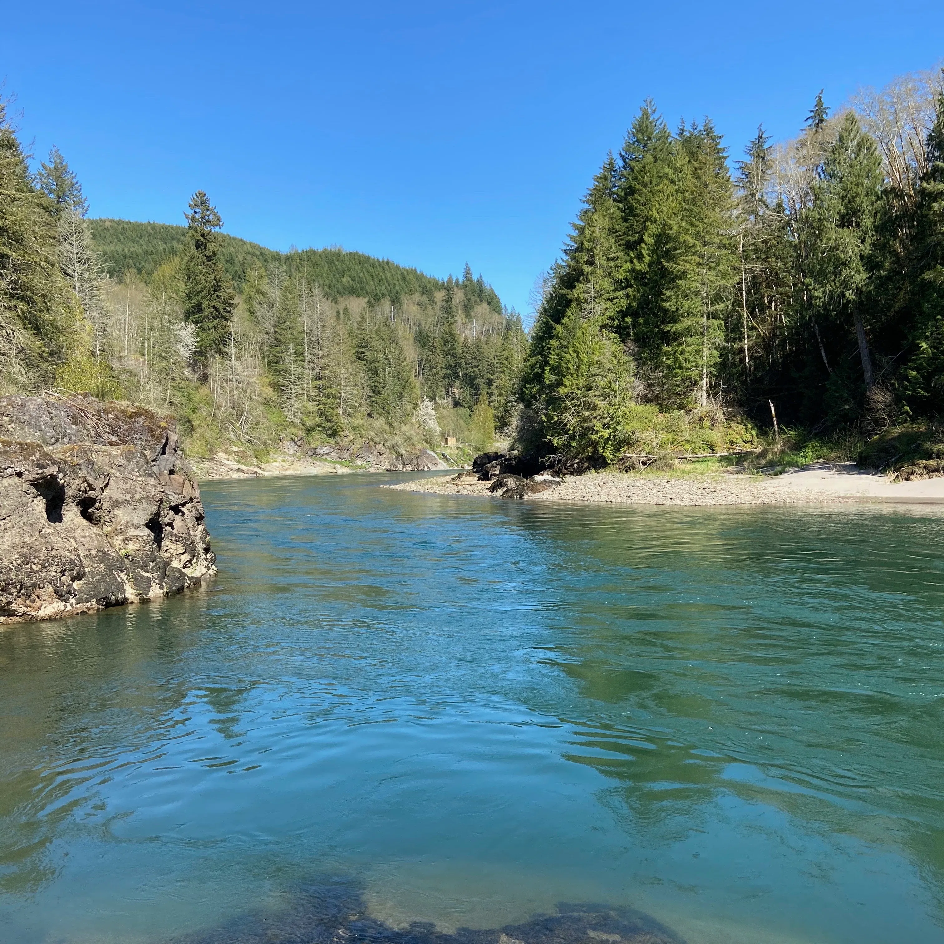 8 Cowlitz River Lodge RV Park fishing and camping in souther Washington