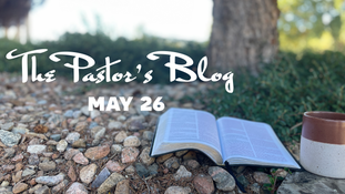 PAUL: THE NOBLE BEREANS