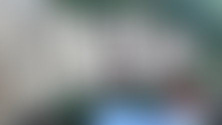 JAMES, THE BROTHER OF JESUS