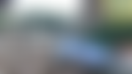 PAUL: THE SEEKER, THE PSYCHIC, AND THE SINNER