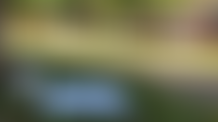 ELIJAH: GOD HAS A PLAN