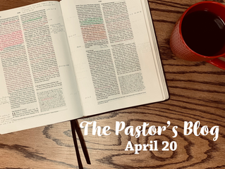 DAVID: THE SHEPHERD KING