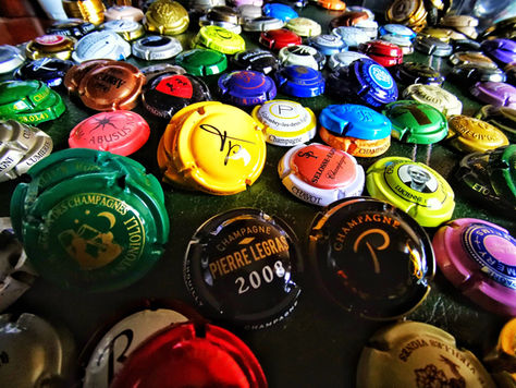 Récolte Capsules de Champagne.