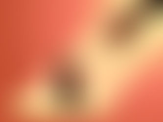 “Medically Sanctioned Rape”: In Defense of VCUG Survivors