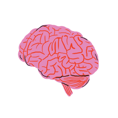 giphy (4).gif