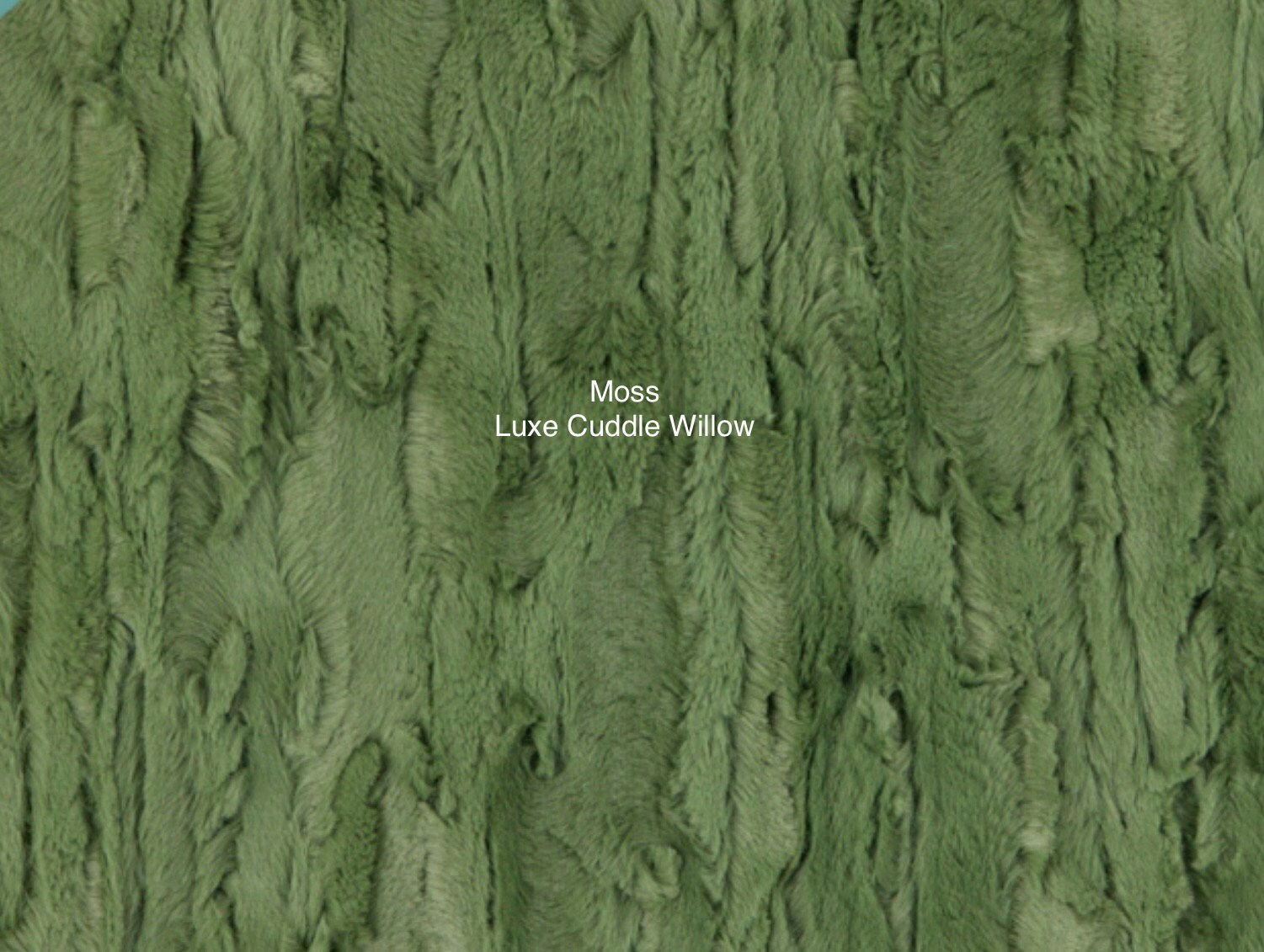 Moss Luxe Cuddle Willow by Shannon Fabrics