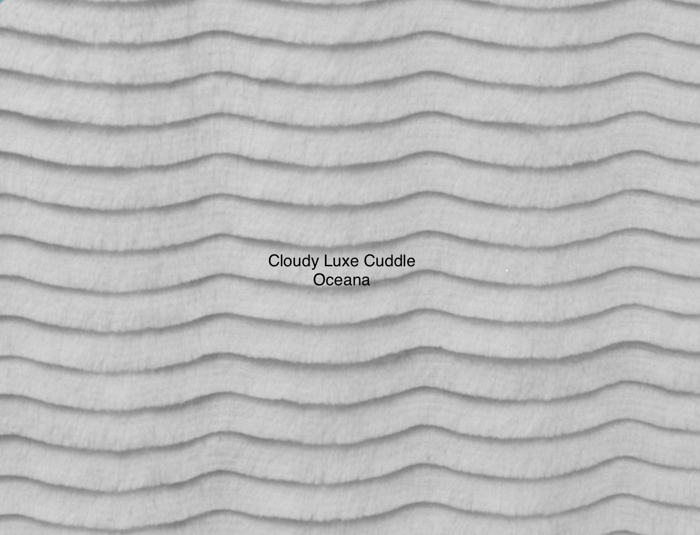 Cloudy Luxe Cuddle Oceana by Shannon Fabrics