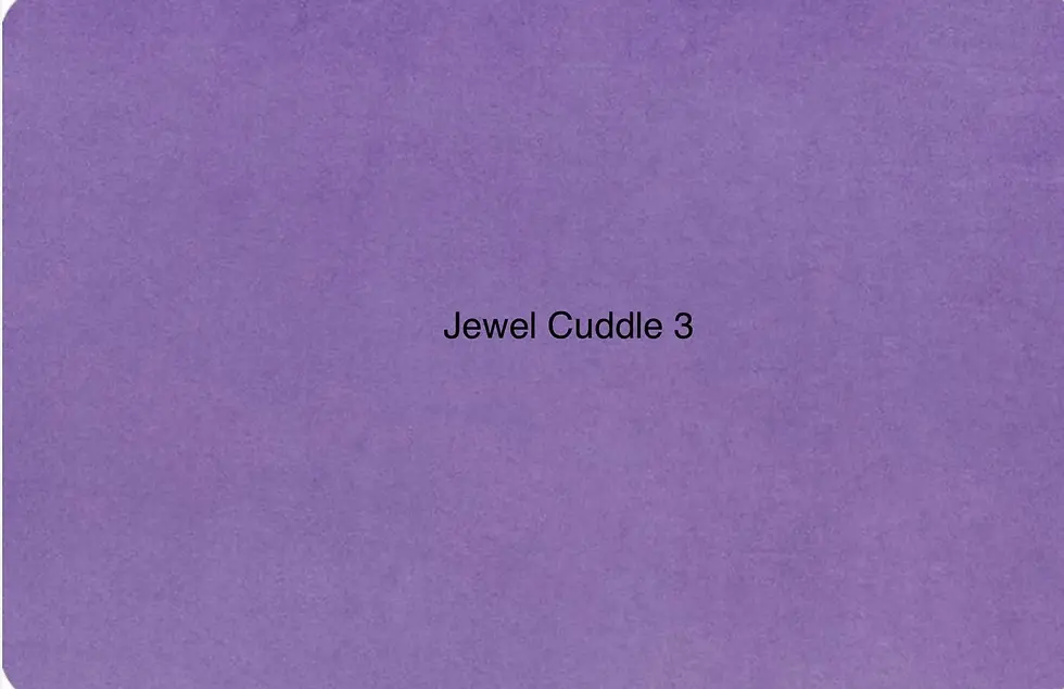 Jewel Solid Smooth Cuddle 3 Minky from Shannon Fabrics
