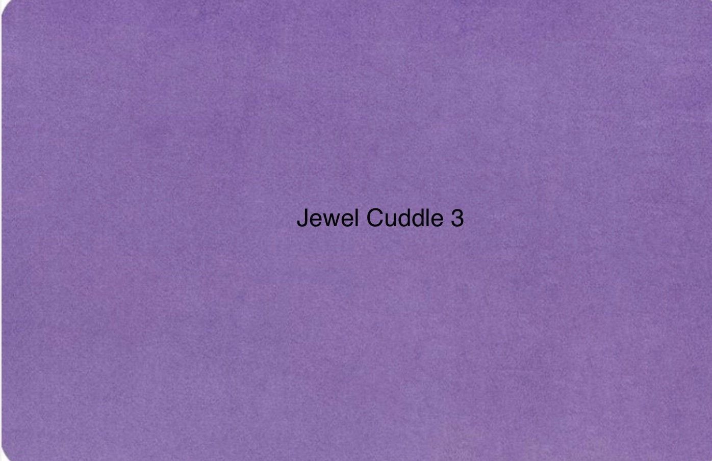 Jewel Solid Smooth Cuddle 3 Minky from Shannon Fabrics