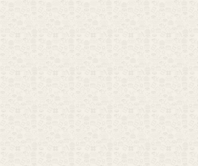 ZP Brand Guidelines .png