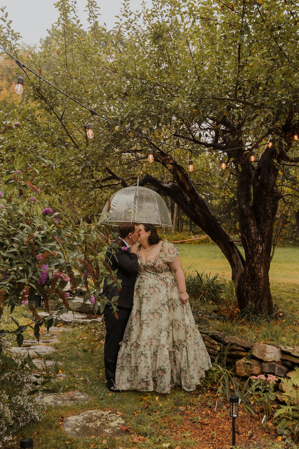 Alexis Ann Photography