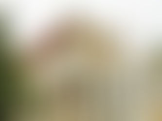 हाई कोर्ट में अवैध कब्जों पर चलाये जा रहे बुलडोजर कार्यवाई को रोकने के लिए लगाई याचिका हुई खारिज....