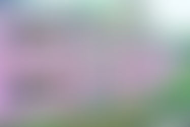 पुलिस जवानों को रहने के लिए नही सरकारी क्वाटर, किराए के मकान में निवास करने को मजबूर परिवार