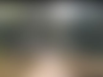 बंदर का शिकार तेंदुए को पड़ा भारी, हुई दोनों की मौत