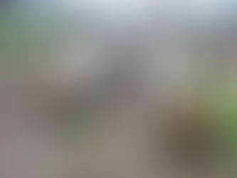 बेटा ट्रेन से कटा, रोते हुए बेसुध होकर पिता ट्रैक पर गिरा, दूसरी ट्रेन उसे भी कुचलते निकल गई