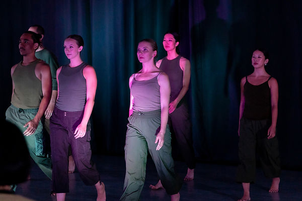 Reborn Arts- Reborn Dance Interactive Jestoni Dagdag, Simon Harrison, Kristy Hwang, Robinn