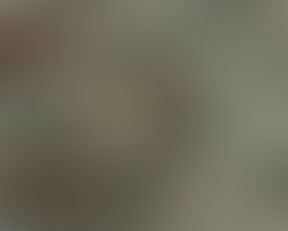 Avanzar en Círculos