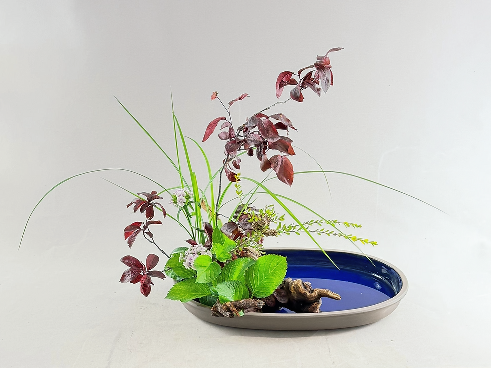 Shakei Moribana Realistico