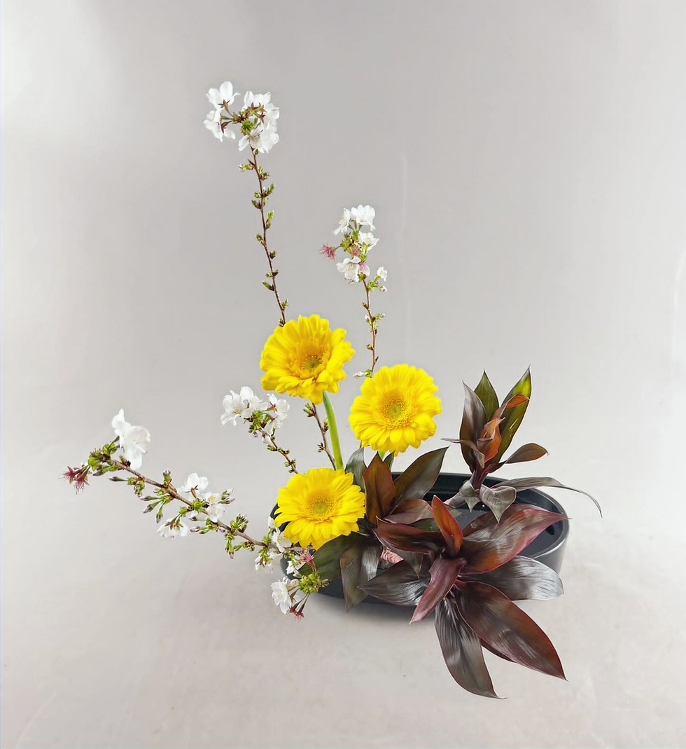 Moribana Chokuritsukei