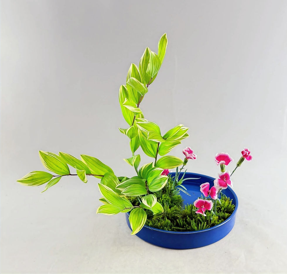 Shakei Moribana Yoshiki Hon-I