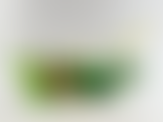 Lezione di Giovedì 05.03.2026