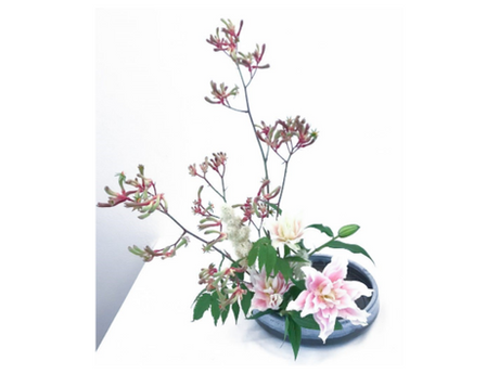 Lezione di Giovedì 24.06.2021