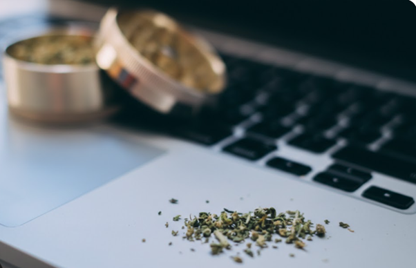 How Cannabis SEO Works in Regulated, Competitive Markets