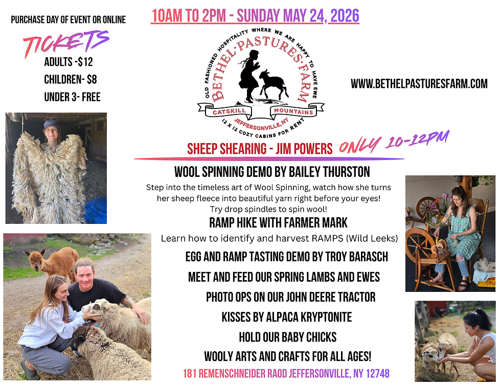 SHEEP SHEARING EVENT/Gather at our FARM DAY!