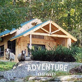 adveture awaits.jpeg